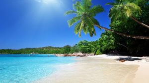 blue water, white sand, tropical greens 